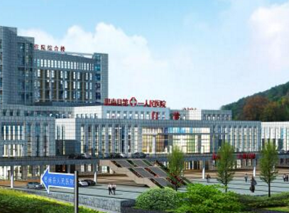思南县人民医院采购全自动阴道分泌物羞羞视频在线免费看