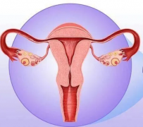 妇科阴道炎羞羞视频在线免费看器厂家提醒女性坚持泡水喝，消炎灭菌，远离妇科炎症
